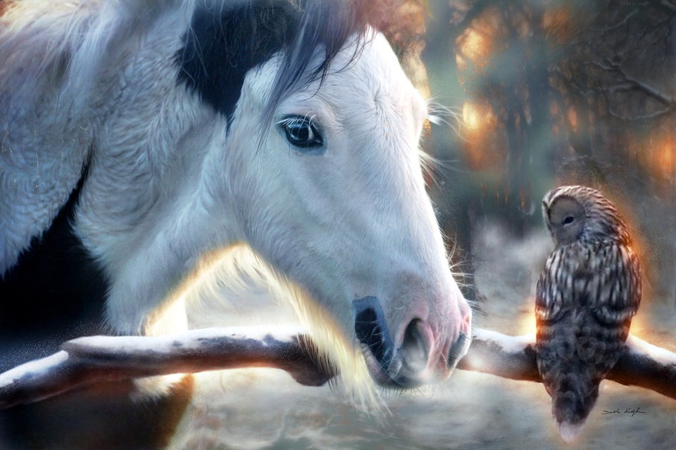 Winterwunderland: Ein erster Schneefall begeistert Kärnten