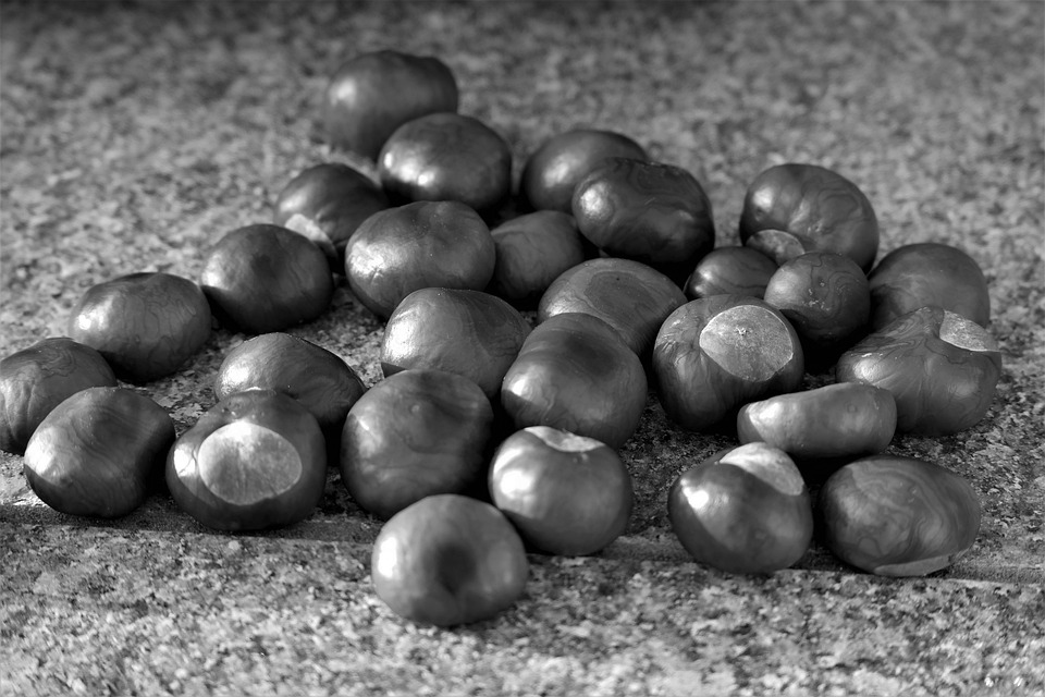 Winterzauber-Nacht: 115.000 Euro für Kinder in Hallein gesammelt