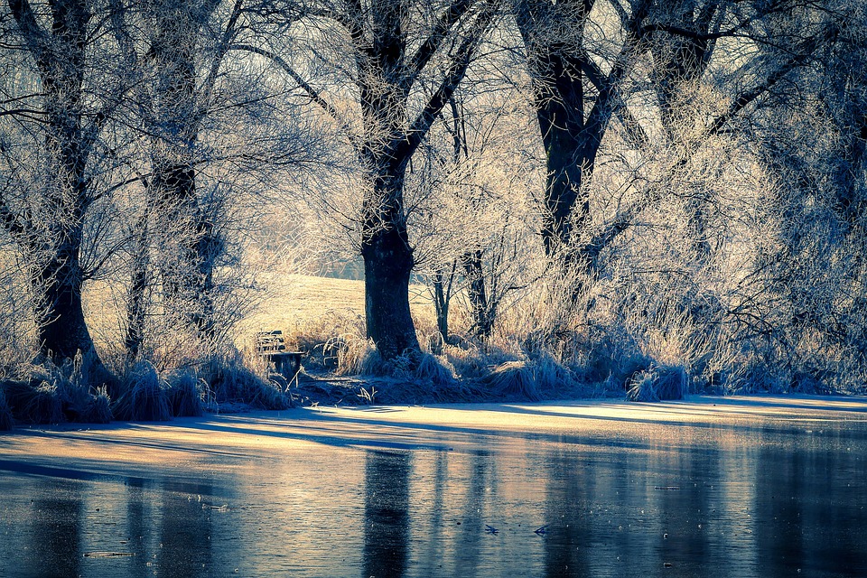 Winterzauber am Baumwipfelpfad: Lichterfest und ORF Aktivtag in Gmunden