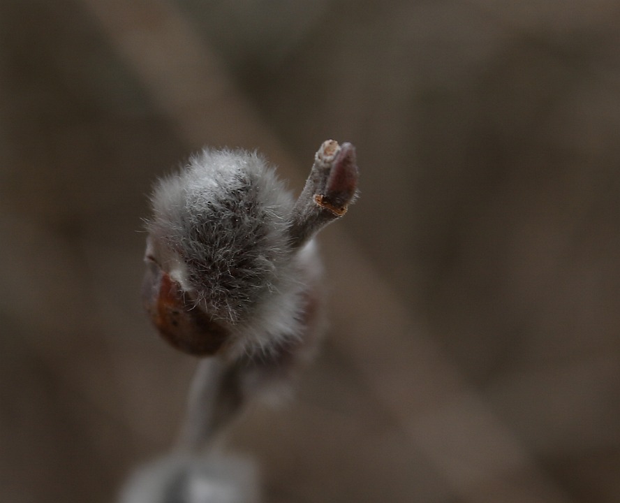 Wirtschaftsstammtisch in Pucking: Gemeinsame Wege für lokale Unternehmen