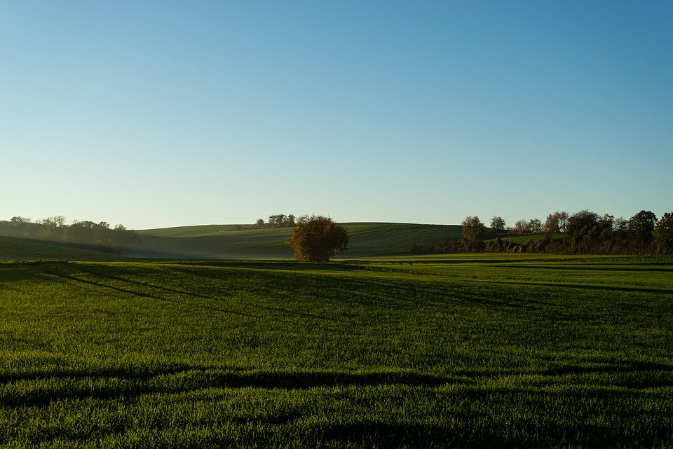 Wolfsberg-Wetter: Kühle Temperaturen und Schneefall erwarten uns