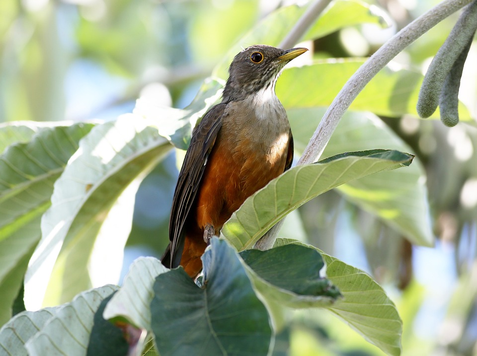 Woolworth expandiert in Österreich: Filiale in Wolfsberg geplant