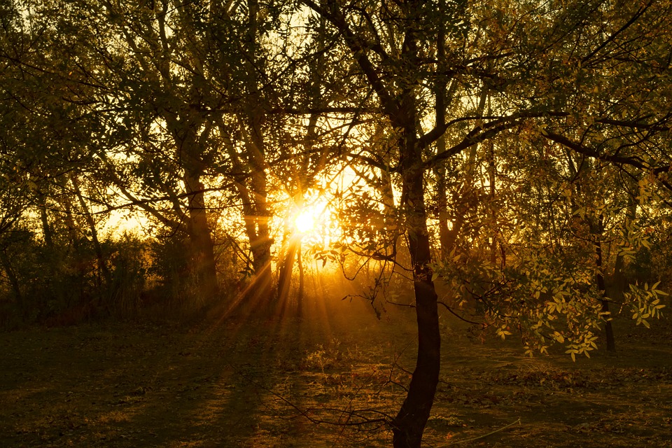 Zauberhafter Adventmarkt in Groß Stelzendorf: Ein Fest für die Sinne