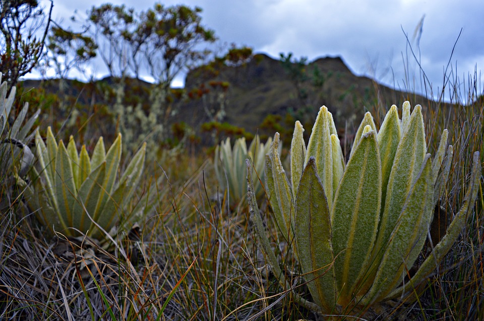 Zell am See: Arabische Gäste entdecken das Paradies in Salzburg