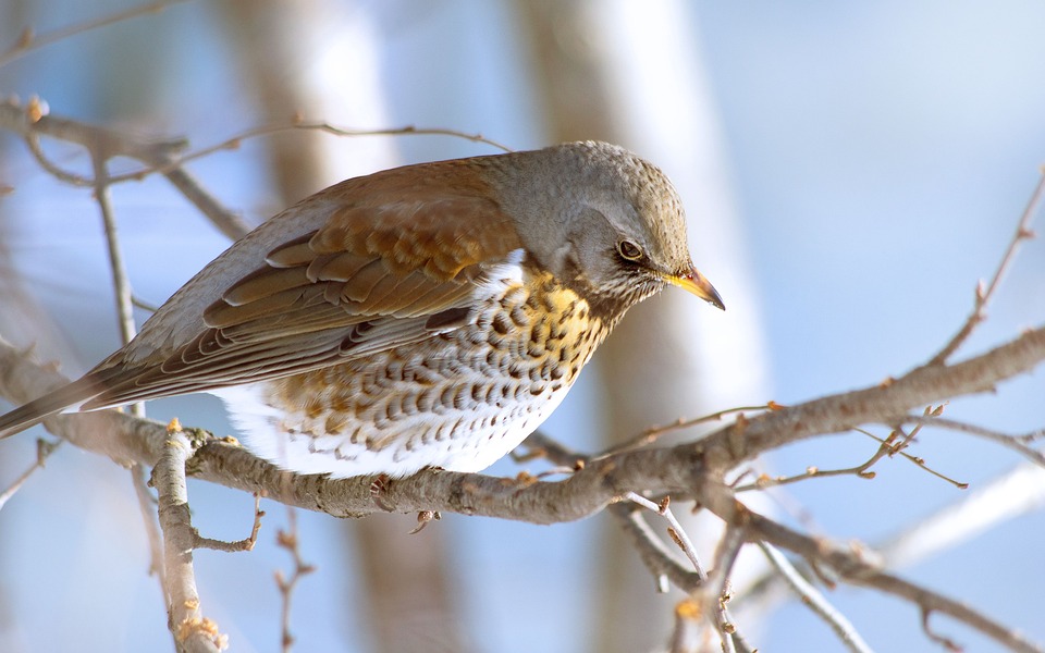 Zell am See-Kaprun auf dem Weg zum Umweltzeichen: Ein Schritt zur Nachhaltigkeit