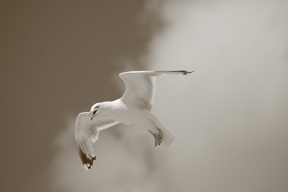 Zivilcourage am Reumannplatz: Angriffe auf Passanten schockieren Wien