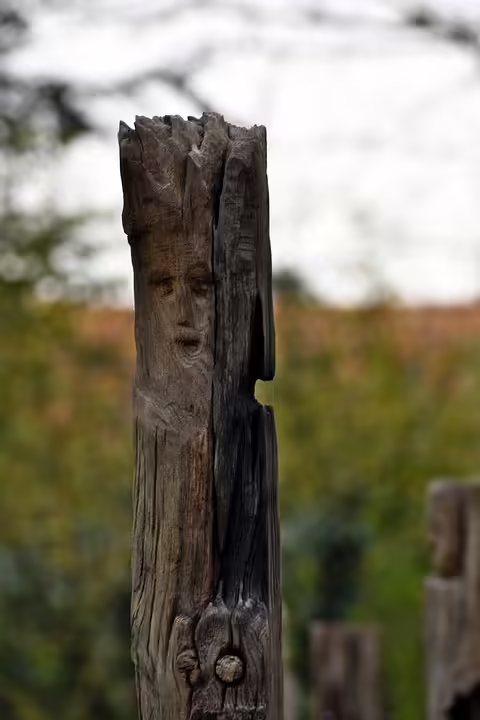 Zivilcourage gegen Partnergewalt: Ausstellung in Wels informiert und sensibilisiert