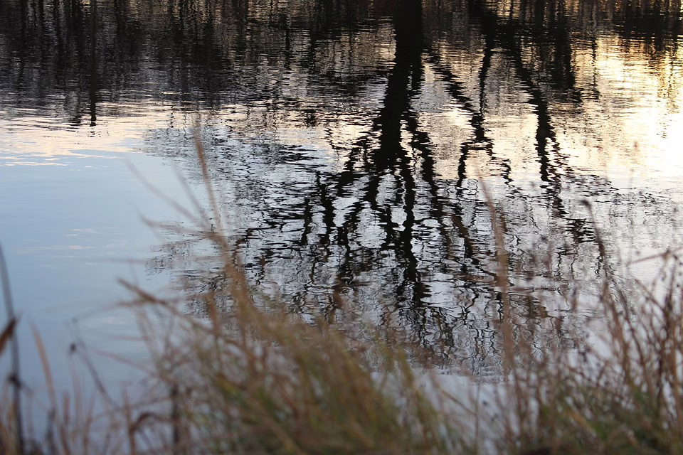 Zukunftsvision St. Veit: Gemeinsam gegen den Fachkräftemangel