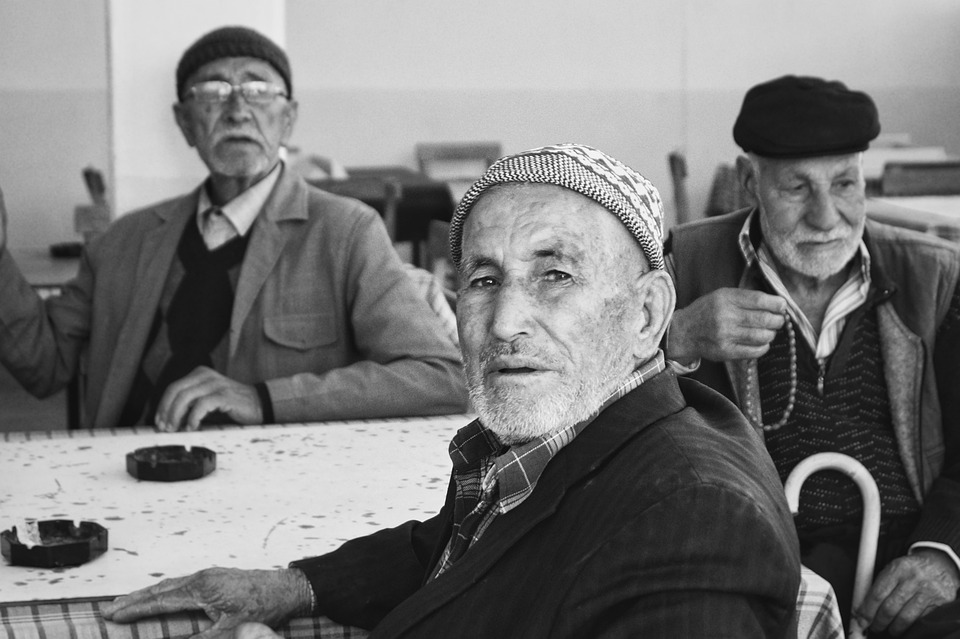 Zukunftsvisionen: Neues Leben für den Gemeindewald in unserer Stadt