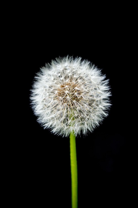 Zwettler Mann entkommt Prügel-Attacke und Erpressungsversuch