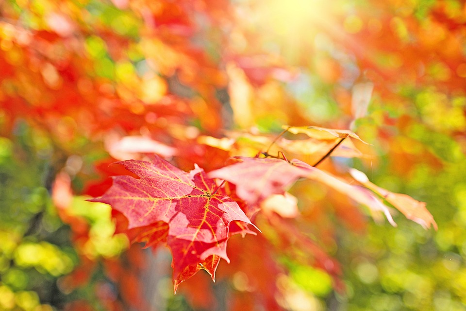 Wo ist Assad? Nach dem Fall von Damaskus bleibt er verschwunden