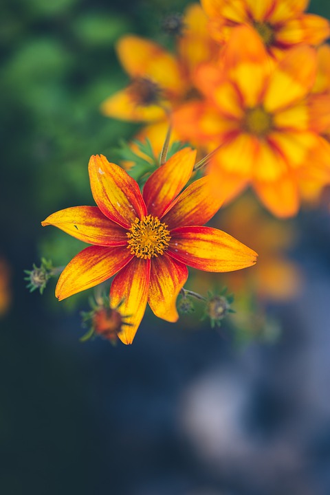 Biden Administration erhöht Waffenlieferungen an Ukraine trotz Trumps Kritik