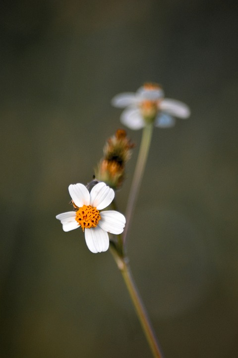 Biden stärkt Ukraine mit neuem Hilfspaket, so das Weiße Haus