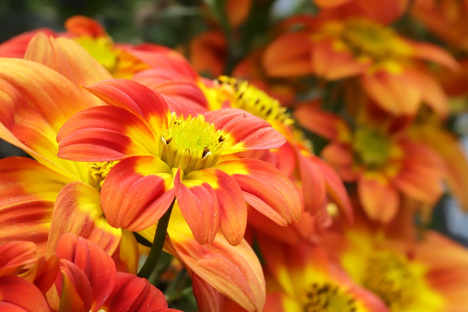 Biden stärkte US-Allianzen in Asien – Überleben sie Trumps nächsten Termin?