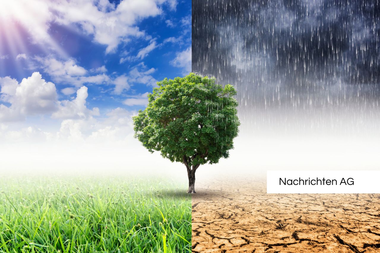 Politik streitet über Zukunft des Klimabonus – Was bedeutet das für Sie?