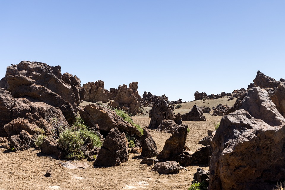 Kanadas Finanzminister tritt zurück: Trudeau vor größtem politischen Test