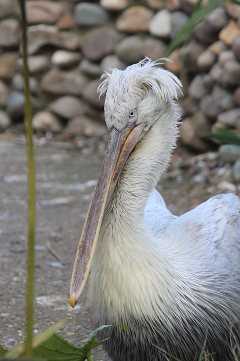 Ölverschmutzung an Russlands Schwarzmeerstränden durch Tankerunglücke