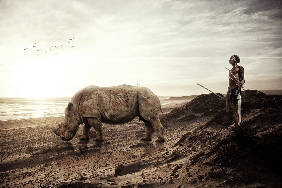 Trump lädt ausländische Führer zur Amtseinführung ein