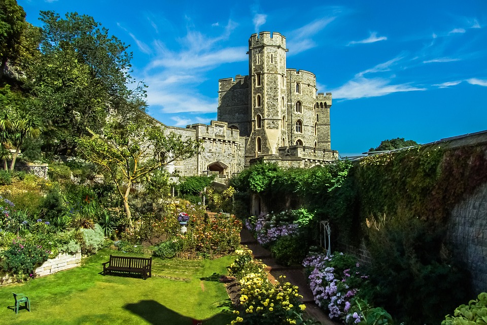Windsor Royals blicken optimistisch auf ein besseres Jahr 2025