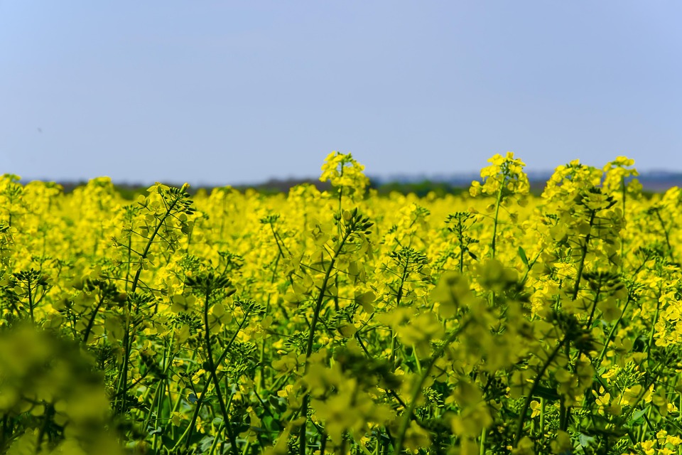 Ukrainischer Ex-Politiker vor Madrider Schule erschossen