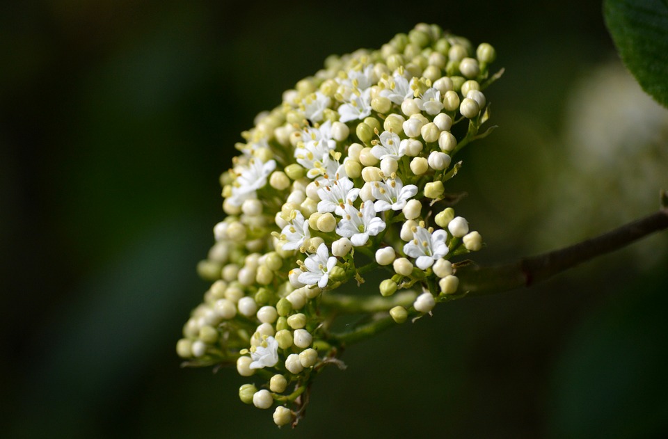 Ältester Spielzeugladen in Los Angeles kämpft gegen Tarife