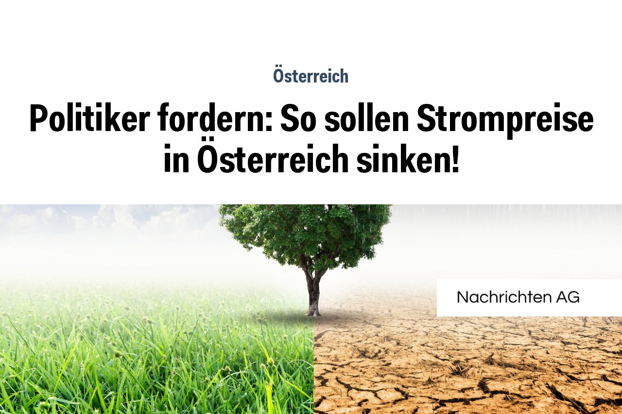 Politiker fordern: So sollen Strompreise in Österreich sinken!
