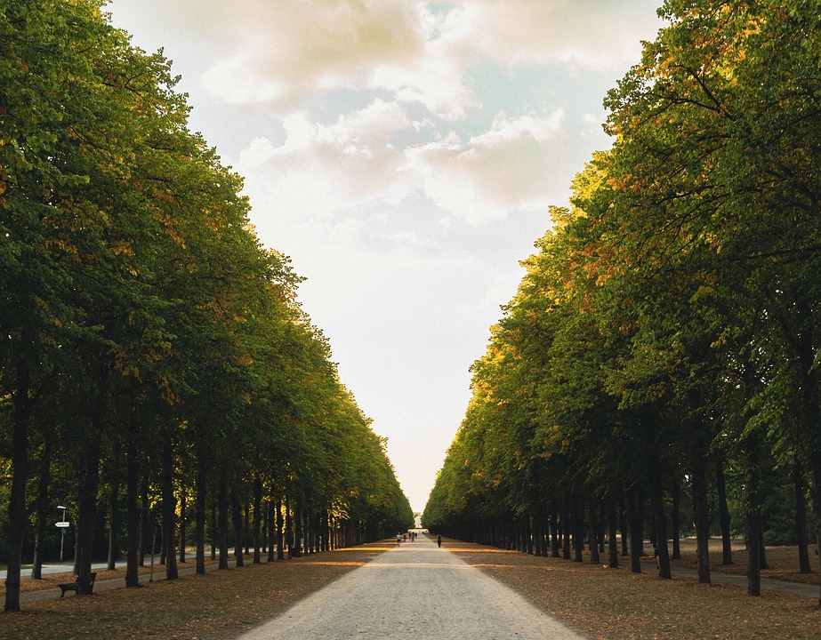 George Simion könnte in umstrittenem Wahl-Neuauftakt Rumäniens Präsident werden