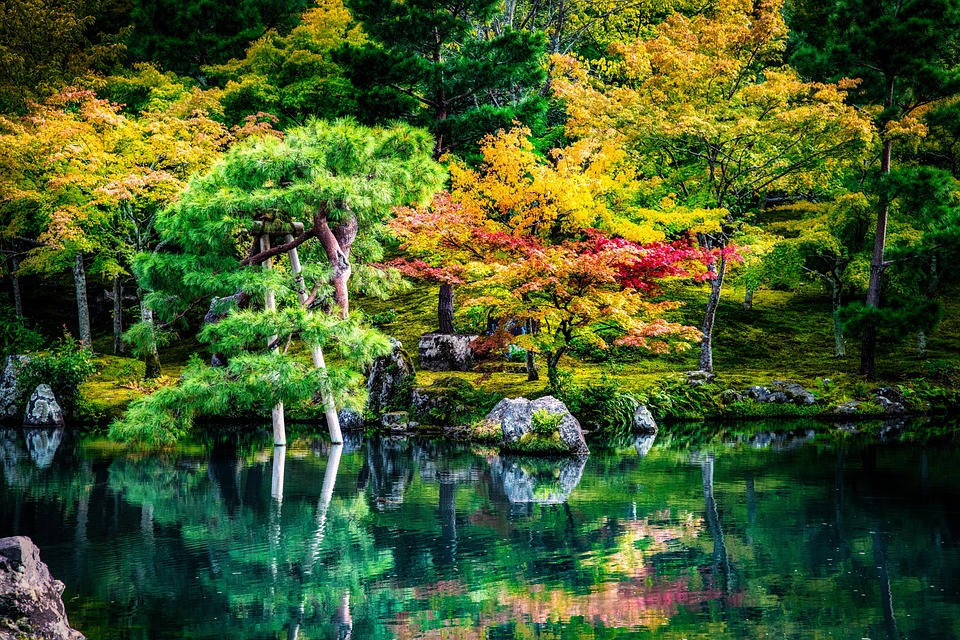 Japanischer Manga warnt vor drohendem Naturereignis – Touristen sagen Reisen ab