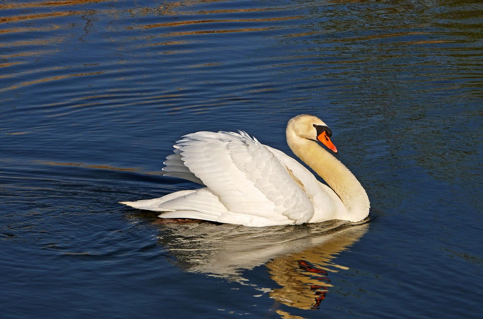 US lockert Sanktionen gegen Syrien nach Trump-Versprechen