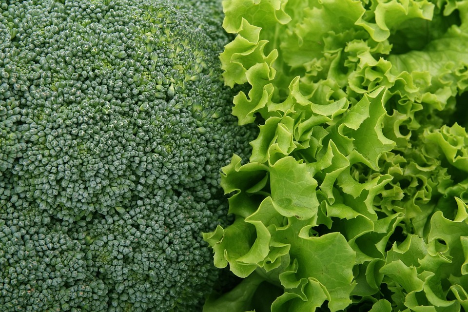 24 der besten Salate der Welt