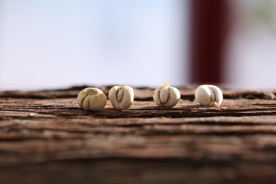 Chinesischer Student verurteilt: Lebenslang für Drogenmissbrauch und Vergewaltigung