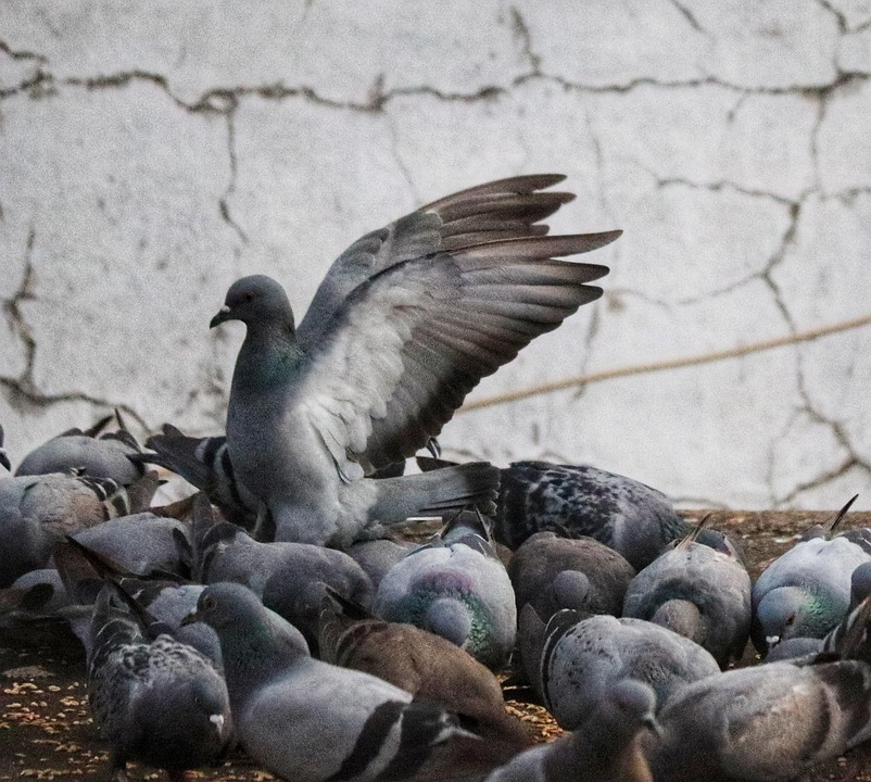 Gruppe zur Verfolgung russischer Entführungen ukrainischer Kinder steht vor Schließung