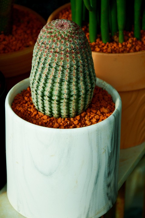 Trump will Anerkennung für Friedensvertrag zwischen zwei afrikanischen Nationen