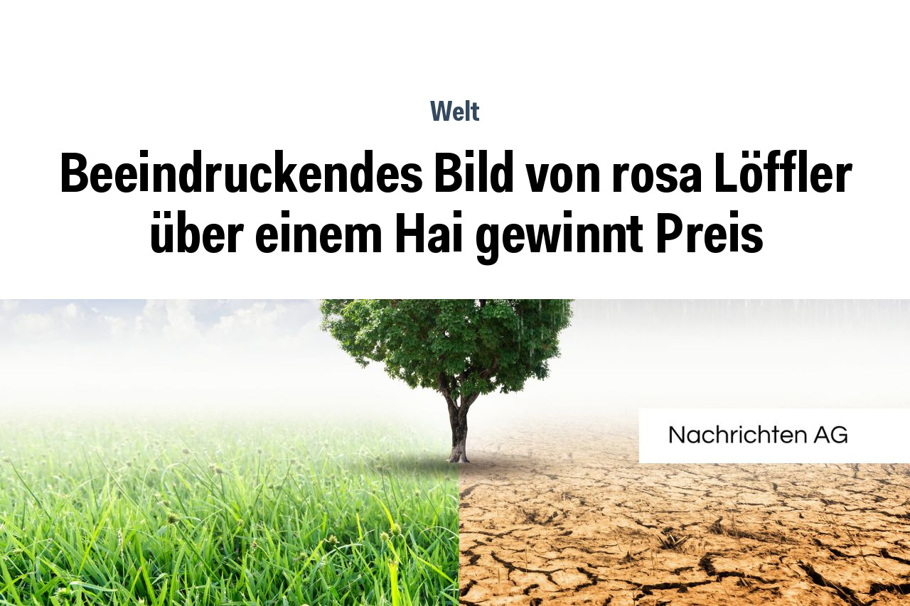 Beeindruckendes Bild von rosa Löffler über einem Hai gewinnt Preis