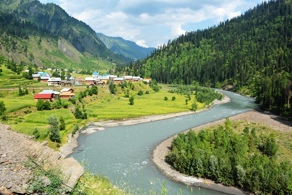 Löwenbesitzer in Pakistan festgenommen nach Angriff auf Frau und Kinder