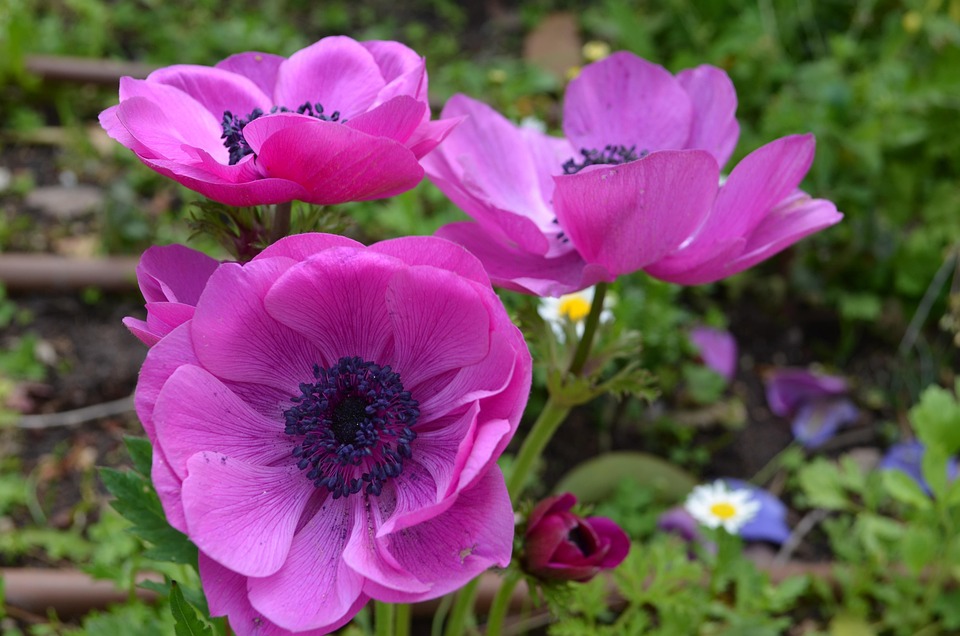 Israel greift Jemen nach Houthi-Missilangriff an