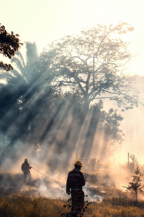 Forest fire in the south of France: older woman dies, 11,000 hectares burned
